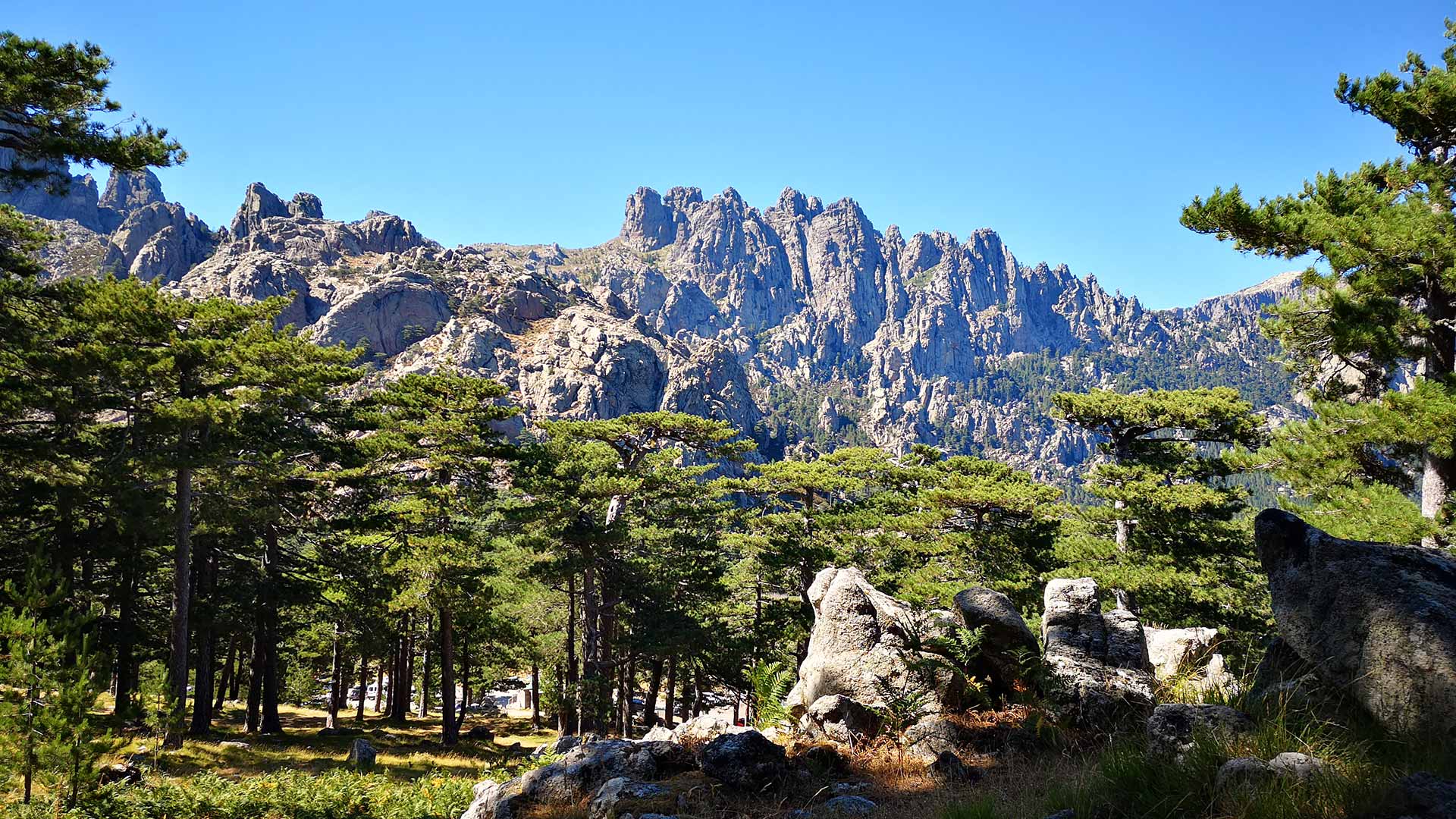 iStock-1212315668H Les aiguilles de Bavella (Corse, France)