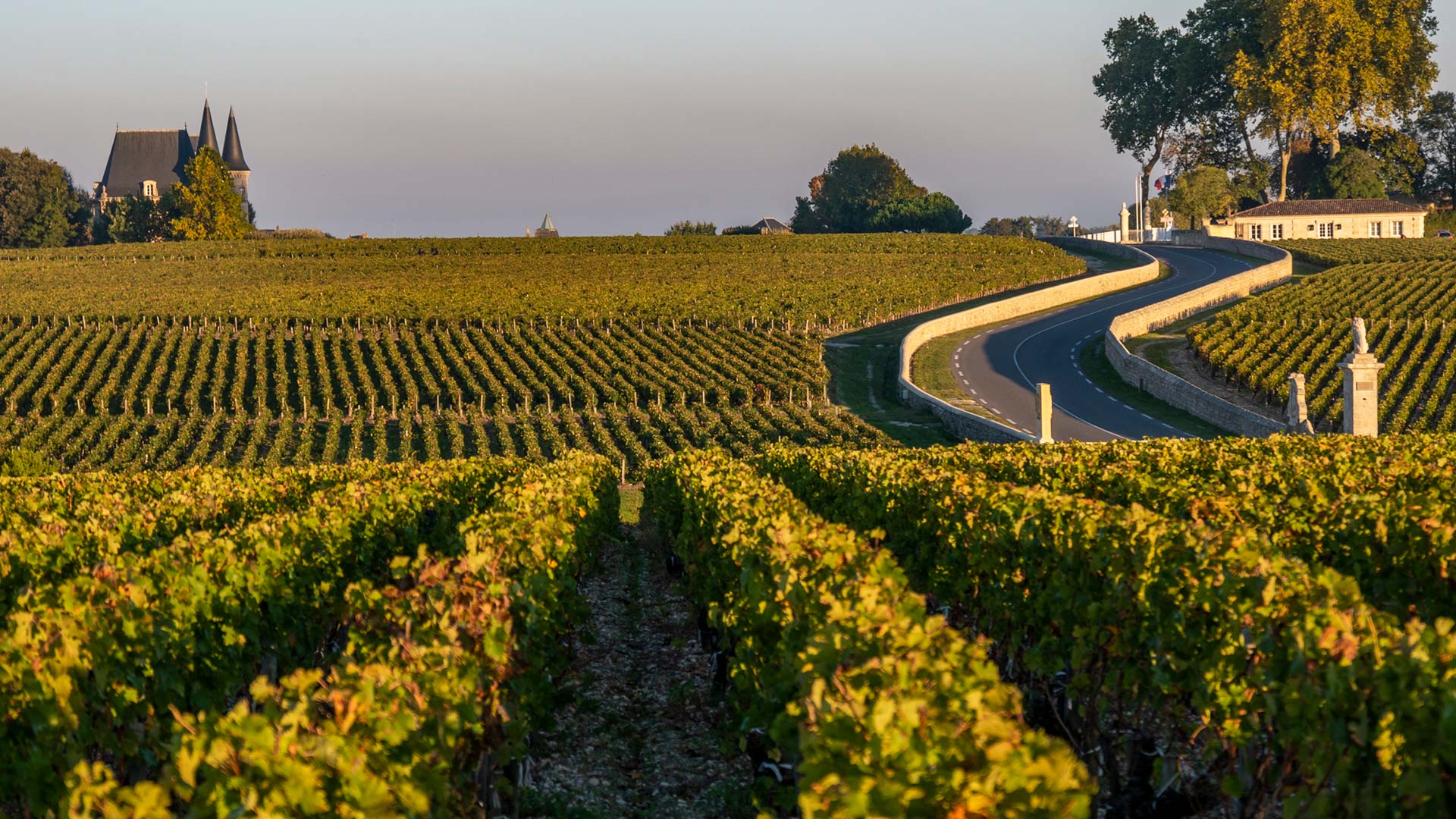 Route des châteaux, vignoble en Médoc (Gironde)