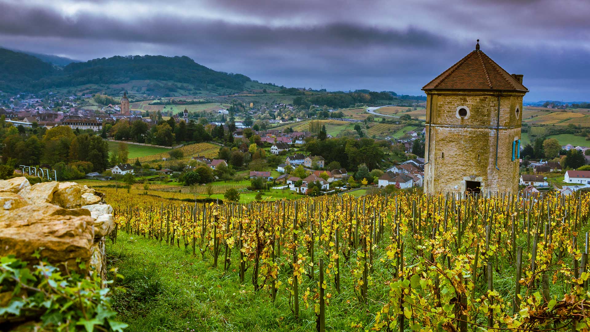 Vignoble d’Arbois (Jura)