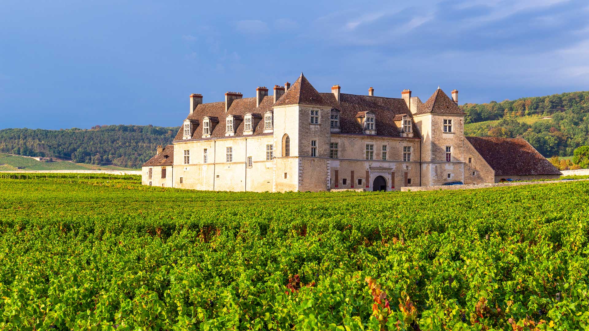 Vignoble et château du Clos de Vougeot (Vougeot, Côte-d'Or)