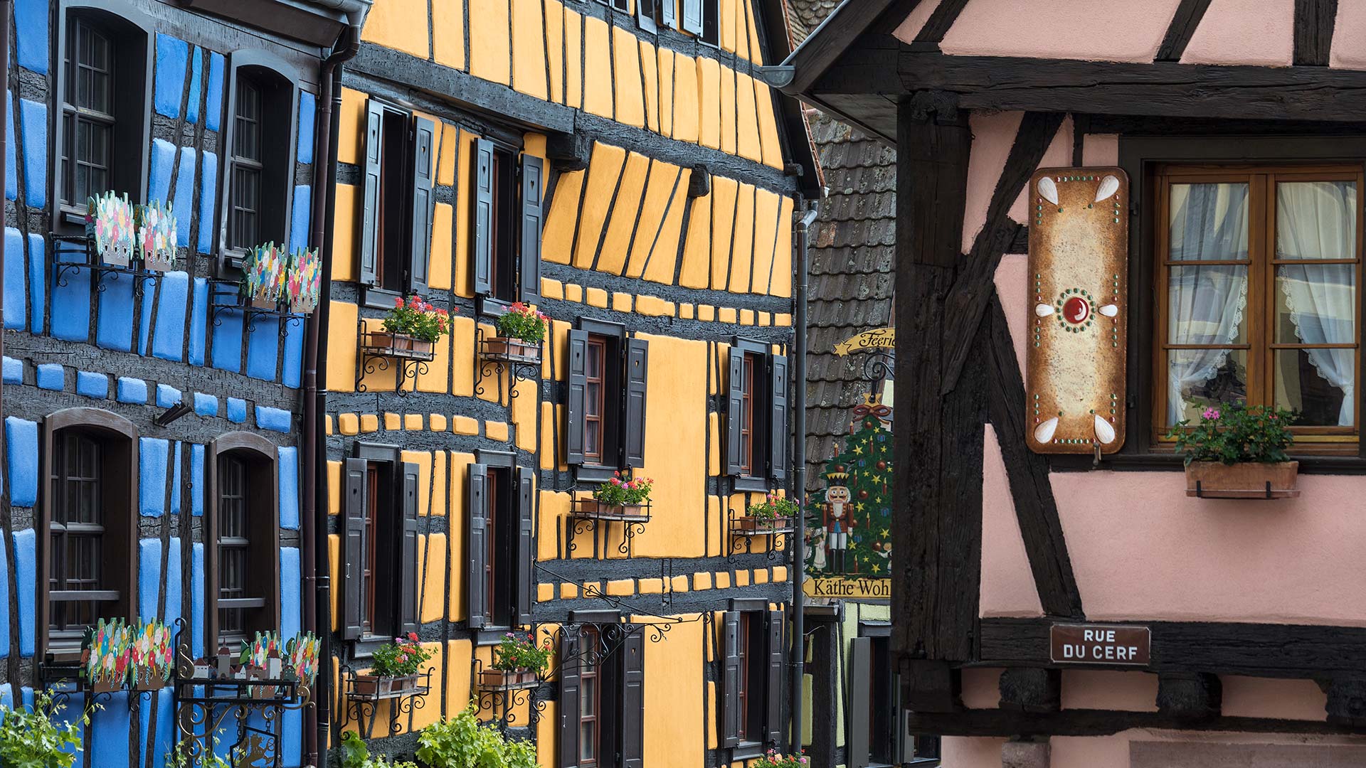 Maisons à colombages dans le village de Riquewihr (Haut-Rhin)