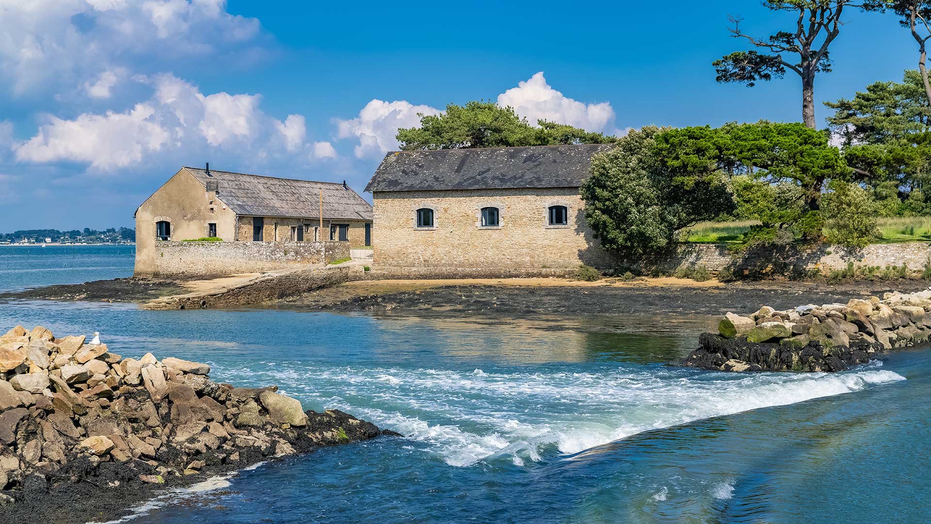 GettyImages-1154072762H Île de Berder, dans le Golfe du Morbihan (Bretagne, France)