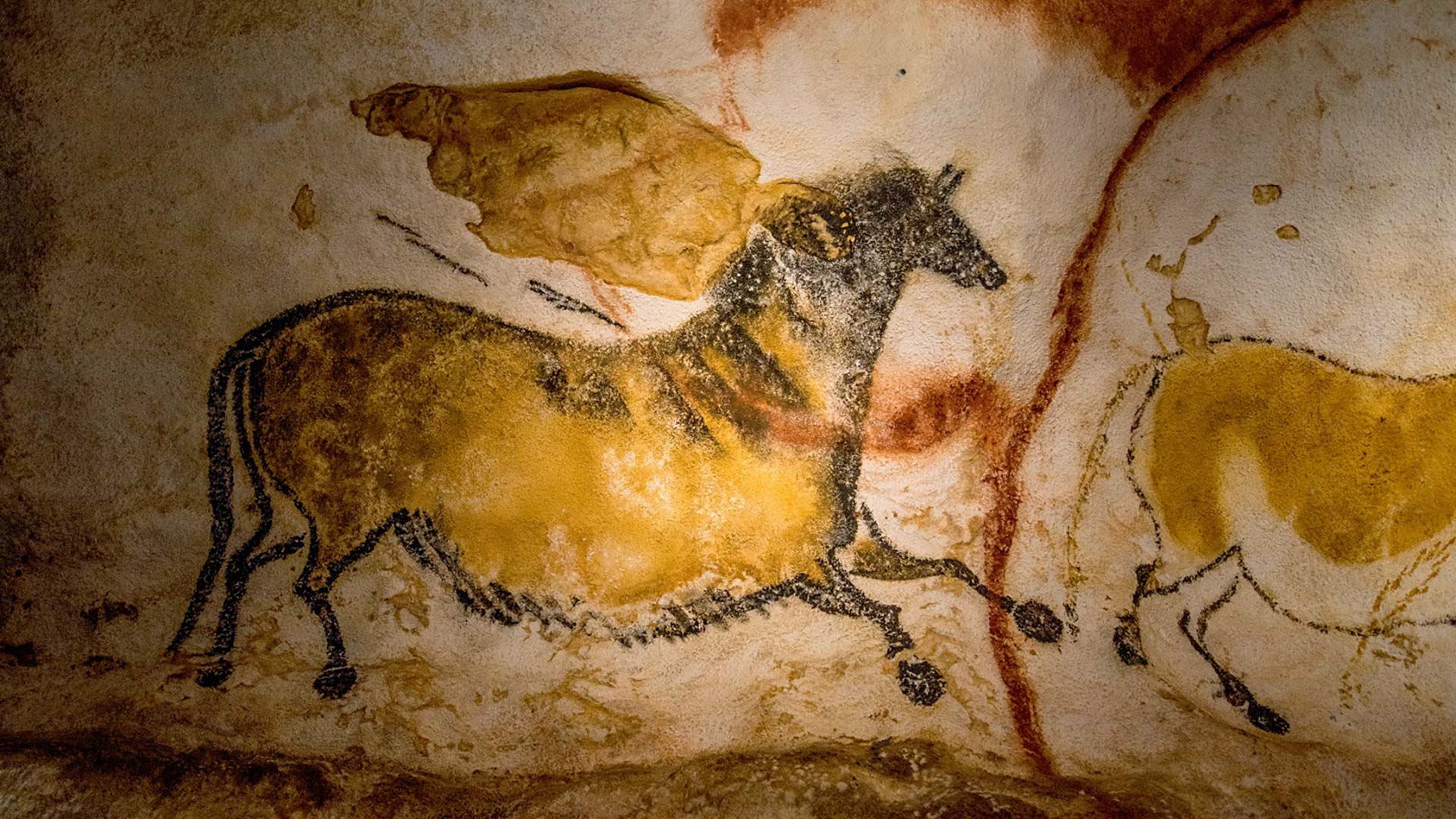 Lascaux-4©Dan-Courtice Peintures rupestres, Lascaux IV (Périgord)