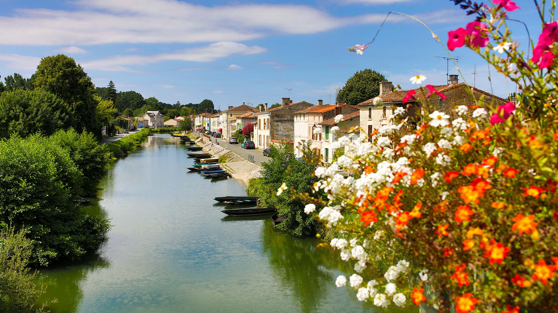 shutterstock_1261869898H Les rives de la Sèvre niortaise à Coulon, dans le Marais poitevin (Nouvelle-Aquitaine, France)