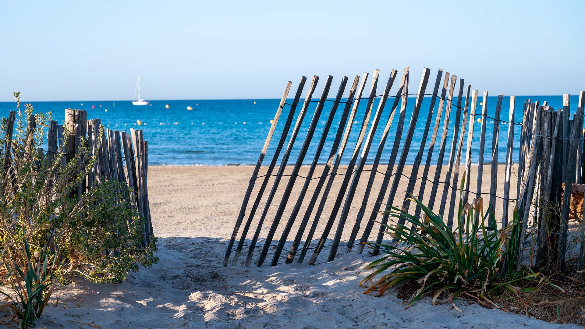 GettyImages-1330600676H La plage des Sablettes à la Seyne-sur-Mer (Provence-Alpes-Côte d'Azur, France)