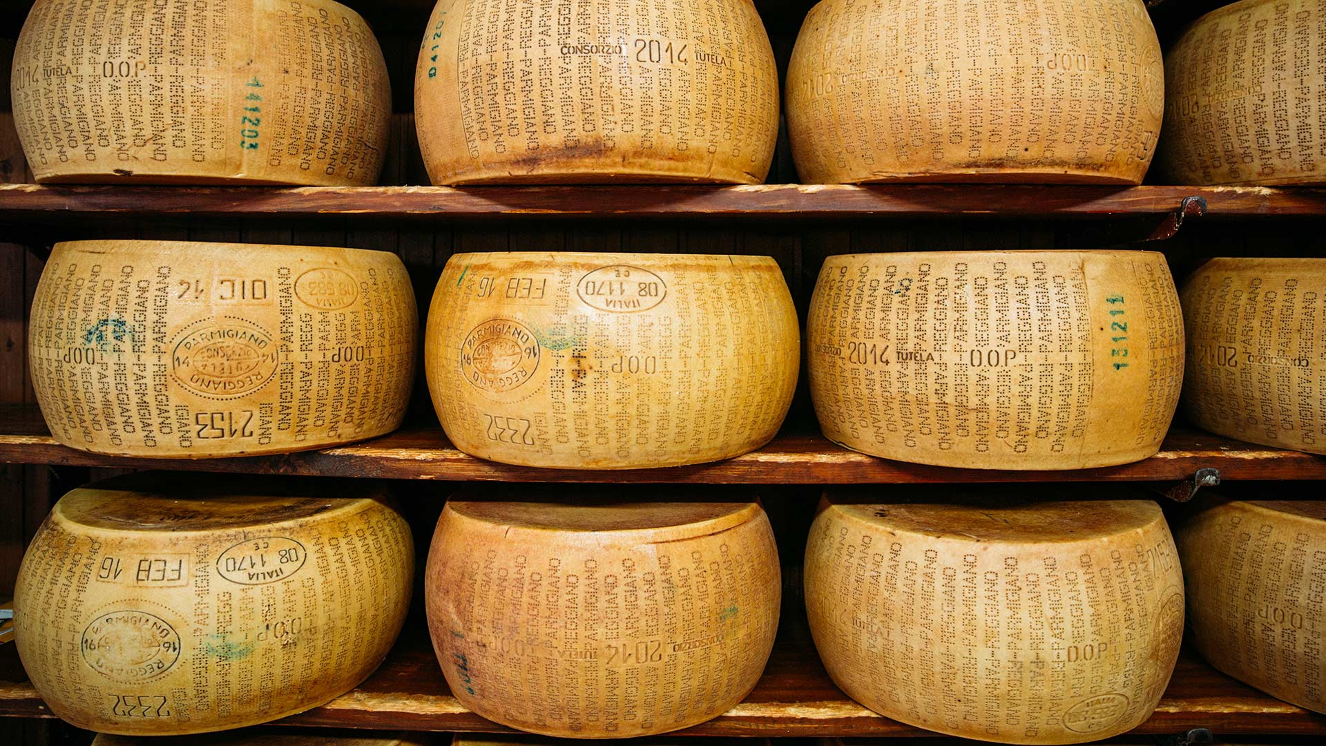 Meules de Parmigiano Reggiano en affinage